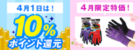 4月のポイント還元＆特別価格のダブルキャンペーン！